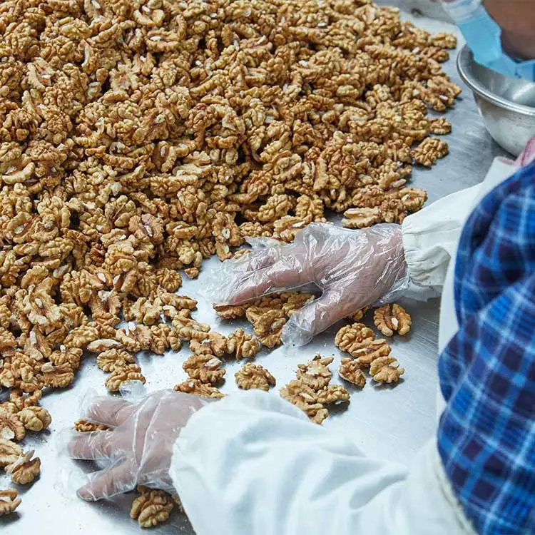 185 Light Color Butterfly Walnuts Kernel Top Grade Wolnuts Walnut Shelled Dry WALNUT KERNEL halves Chinese xinjiang