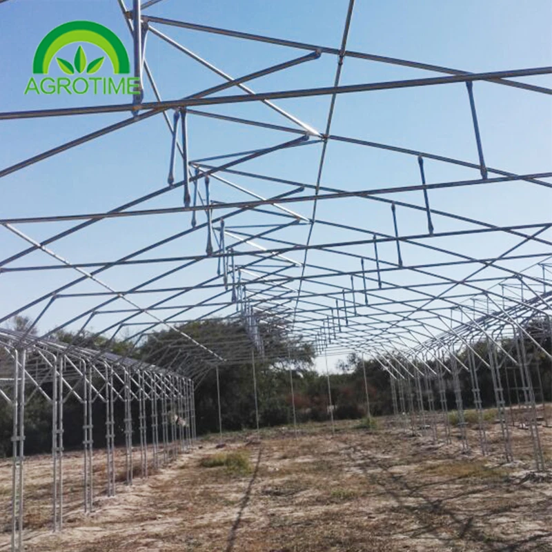 Argentina Projects Installed Commercial Hydroponic Plastic Film Green House Multi-span Agricultural Greenhouses