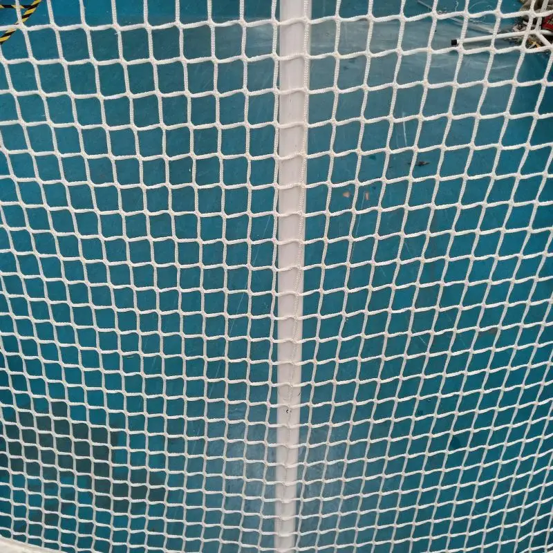 
Competition Standard Steel Tube Ice Hockey Goal 