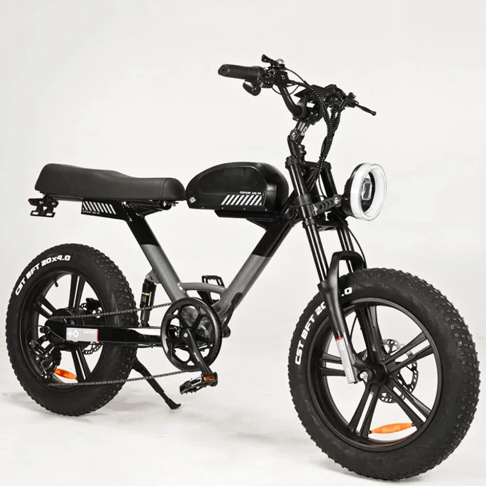 20 лет Оригинальный OEM /ODM ebike завод 48 В 750 Вт 1000 профессиональный электрический велосипед электрическая шина для взрослых