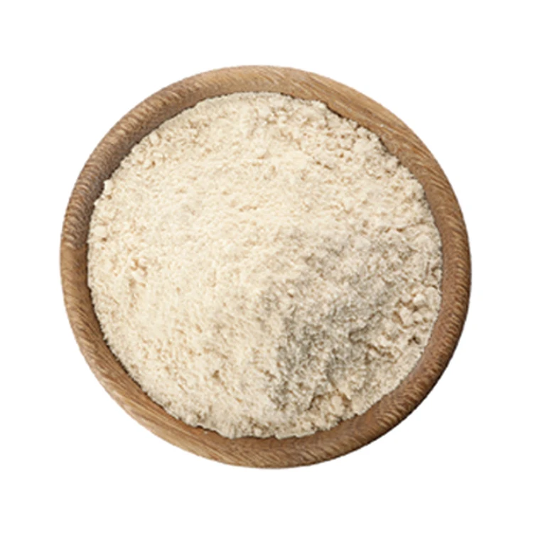 
Health Care Product Probiotic Lactobacillus Casei For Improve Gastrointestinal Health 