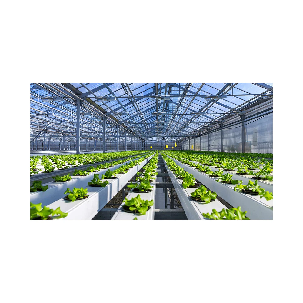 New Listing Saving-water Hydroponics Vegetables  PVC Greenhouse Seed Cultivation Pvc Hydroponic Gutter Supplier