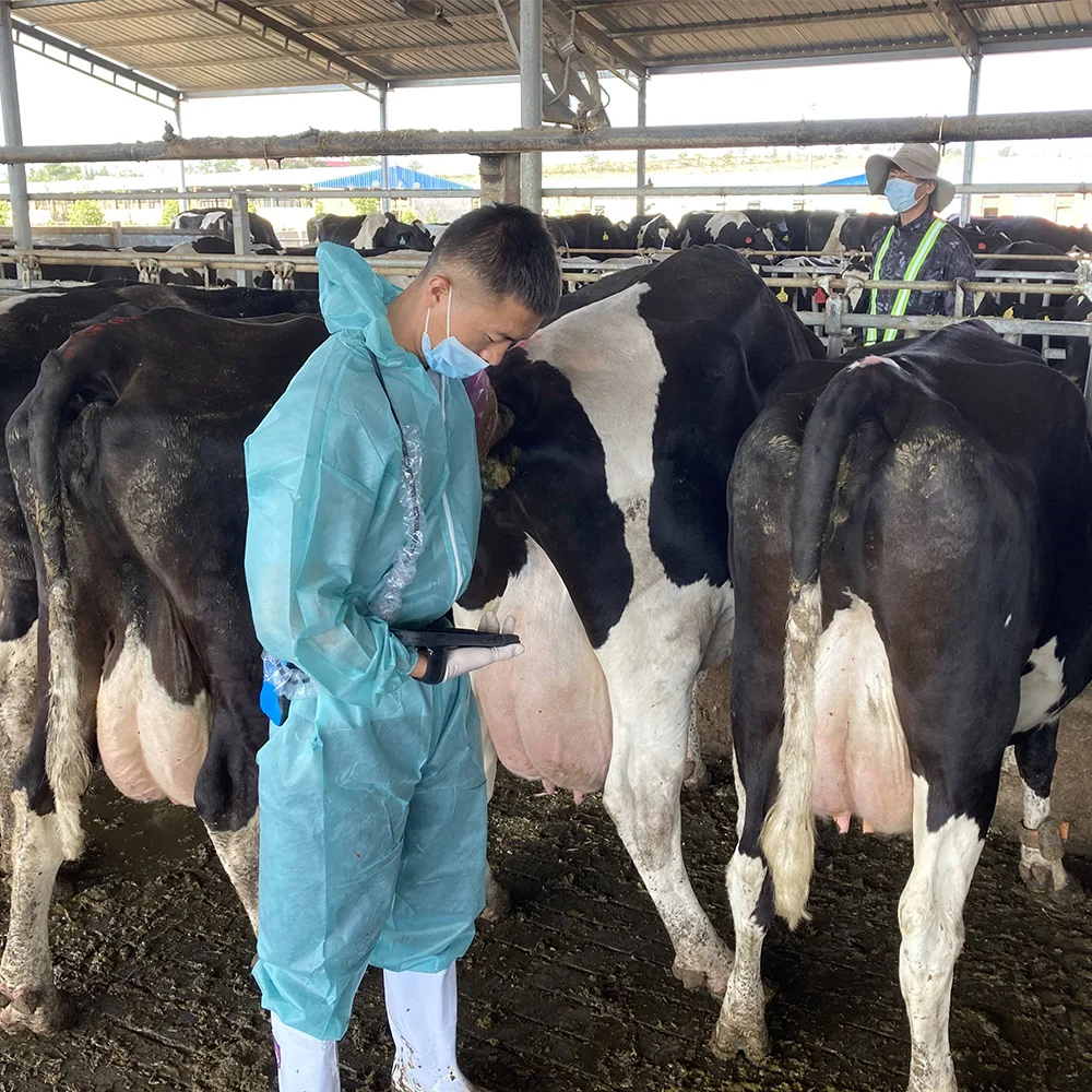 Vet usb pocket diagnostic wireless ultrasound scanner handheld device system price veterinary ultrasound machine probe