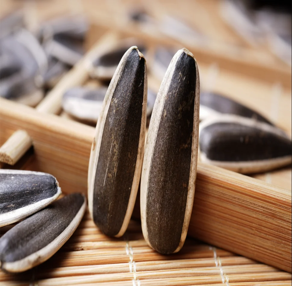 sunflower seeds 363 inner mongolia factory chinese 2022 NEW CROP