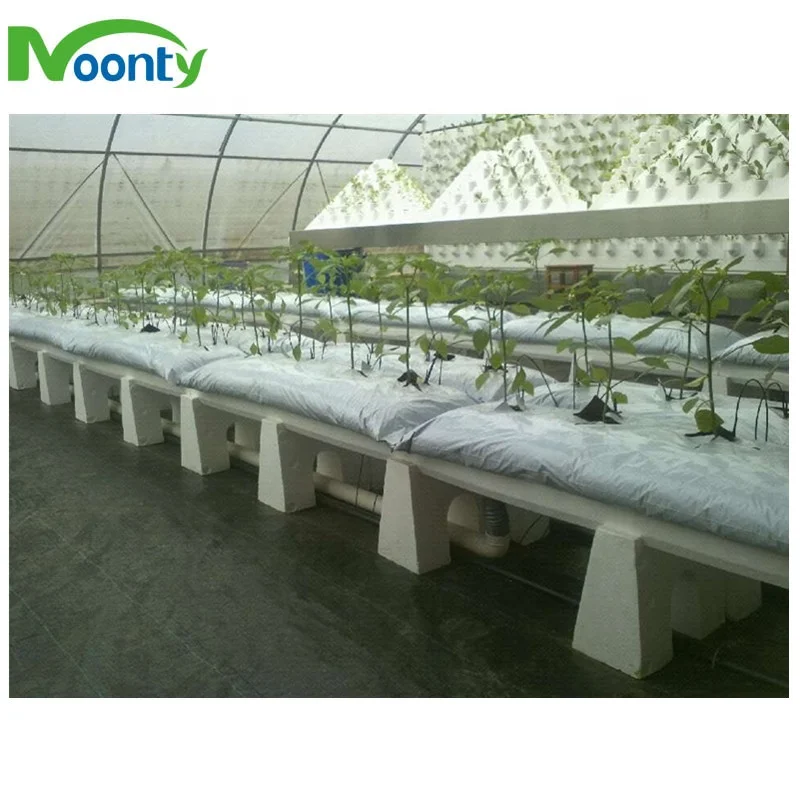 Commercial Greenhouse Industrial NFT/EBB/Dutch Bato Hydroponic with auto irrigation system smart controlling