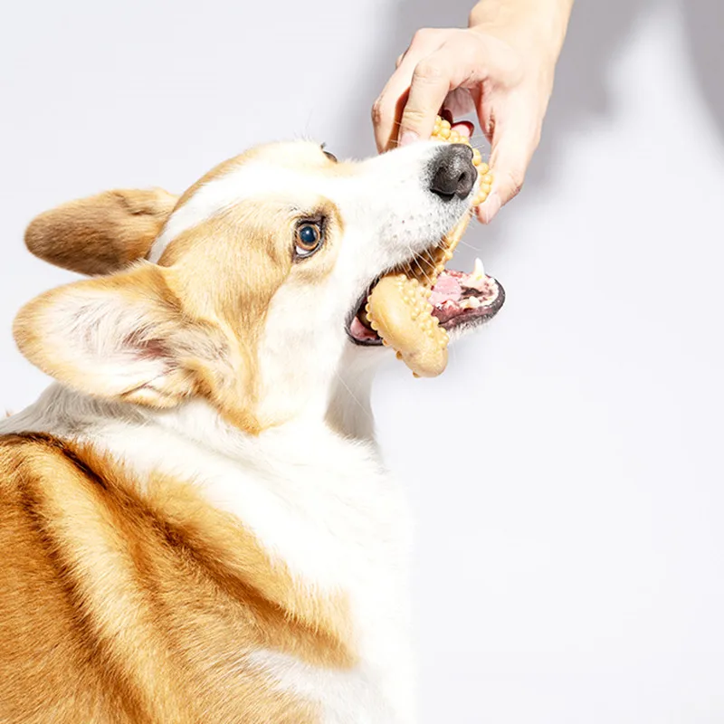 Durable Pet Dog Puppy Toothbrush Dog Dental Care Chew Bones Anti-anxiety Molar Toy