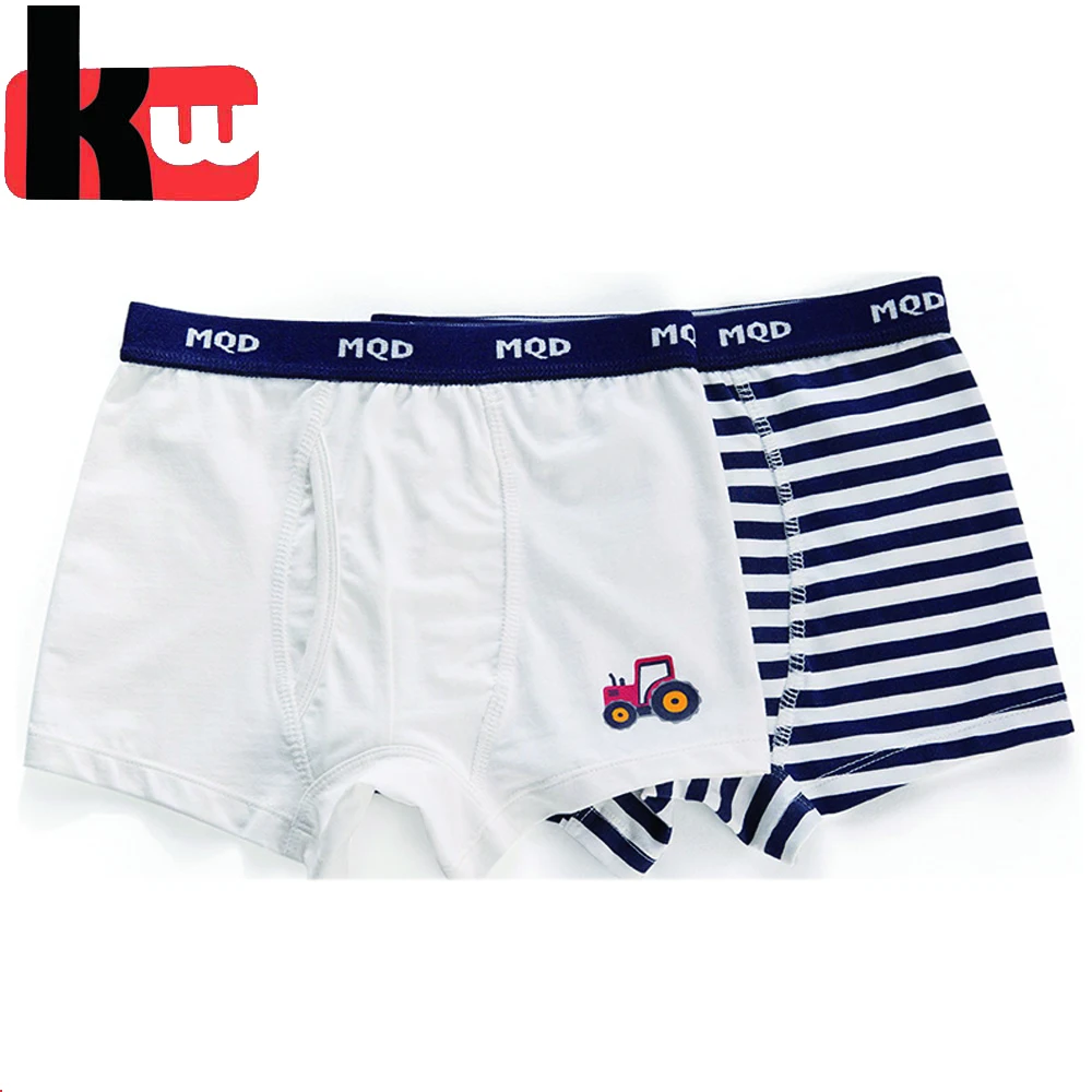 Boys Boxer Short,boxers Kids Underwear,teen Boys Thongs Children Customised OEM Service Print Support Boxers & Briefs 21 Years