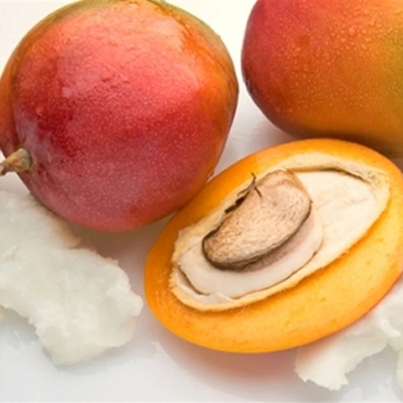RONIKI Factory Supply Pure Natural Organic moisturizing body raw mango butter cream For skin