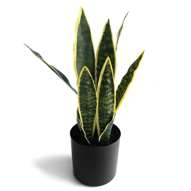 Новый дизайн бонсай искусственные змеиные растения зеленые горшки Sansevieria Trifasciata в черных горшках для домашнего декора