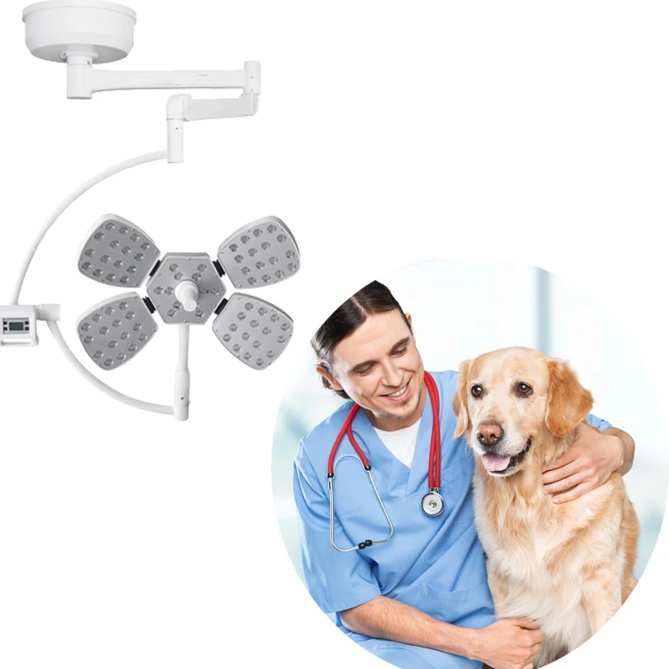 Stand Type Surgical Operation Mobile LED Examination Lamp LED Shadowless Medical Lamp Operating Lights