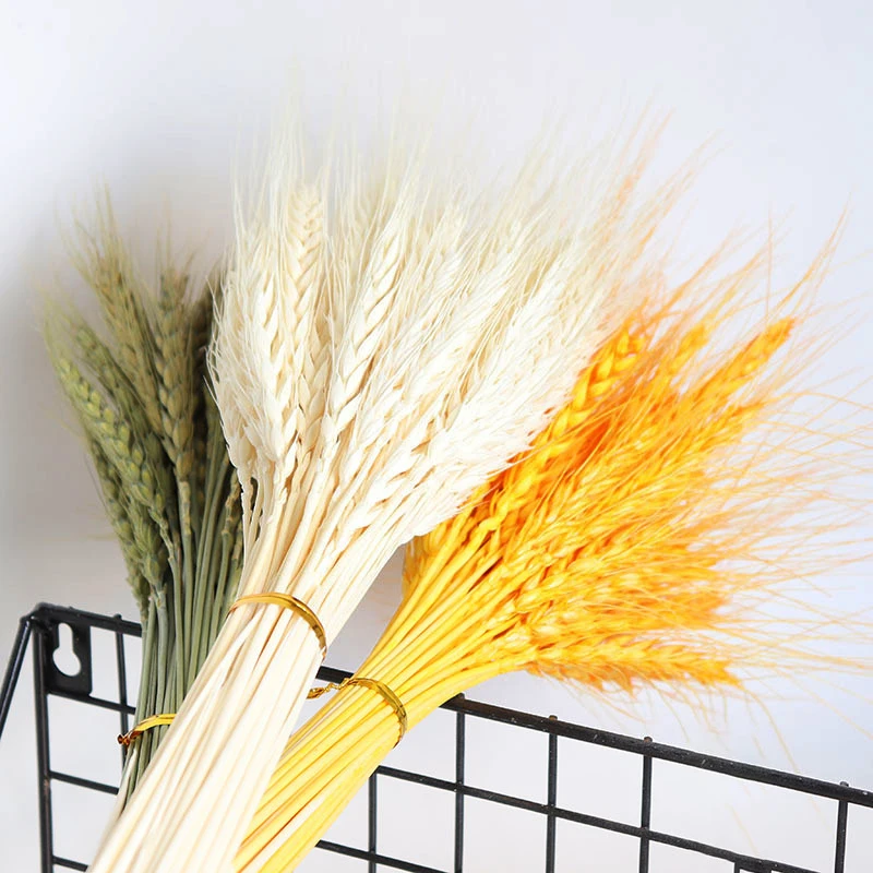 Hot Selling Dried Wheat Stalks Decorative Golden Wheat Grass Flower Bouquet for Decors
