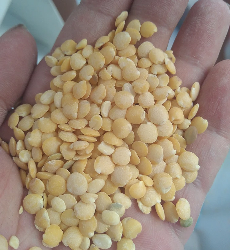 Многофункциональная машина для измельчения зерен 500 кг/ч для черного матового черного Муна, машина для измельчения голубьего гороха в граммах