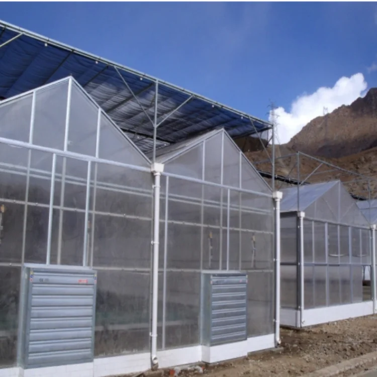Agriculture polycarbonate greenhouse with hydroponic systems for sale