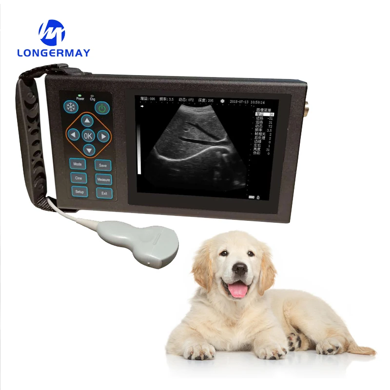 Cheap ultrasound veterinary machine for animal pet dog cat use good price