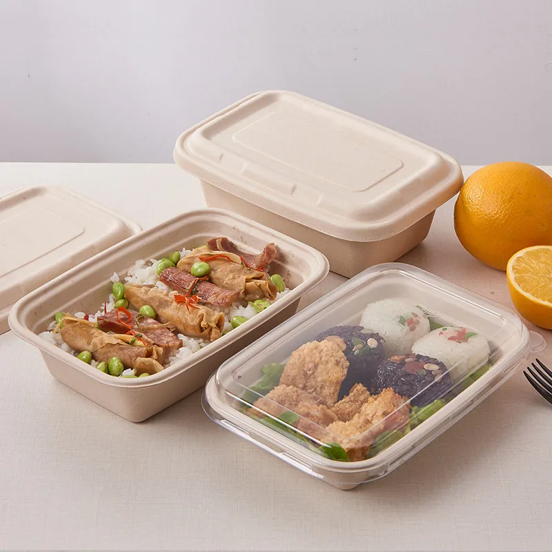 Wholesale Biodegradable Lunch Box Paper Takeaway Food Disposable Paper Lunch Box