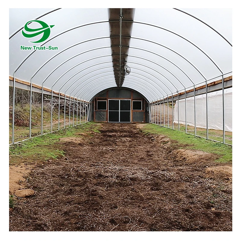 
Hot Sales Agricultural single-span tunnel film industrial greenhouse with blackout shading system 