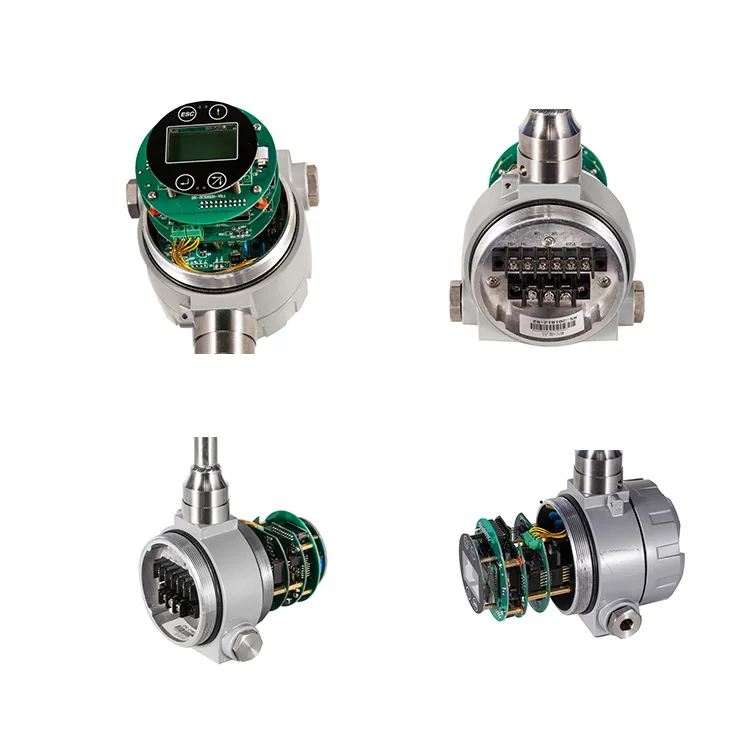 
Sincerity High Accurate Coriolis Measurement Wireless Peak Lpg Dispenser Gas Flow Meter 