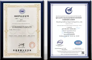 Instant Noodles Price