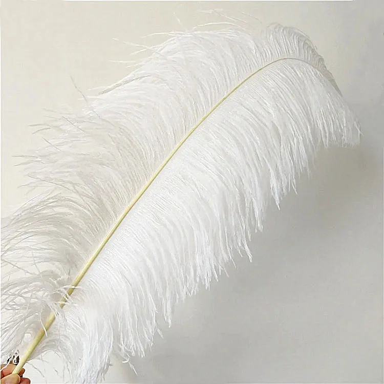 Cheap Price Nature Dyed Large Black Ostrich Feathers Ostrich