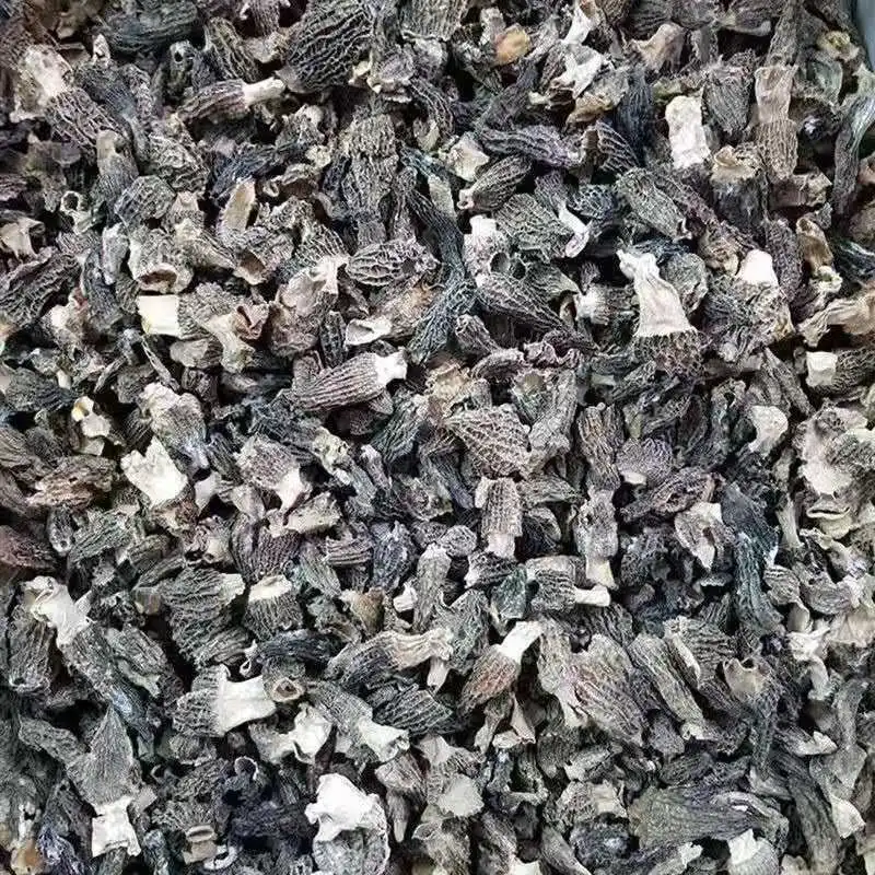 Morel mushroom and dry morchella in fungus  shipped directly from the factory