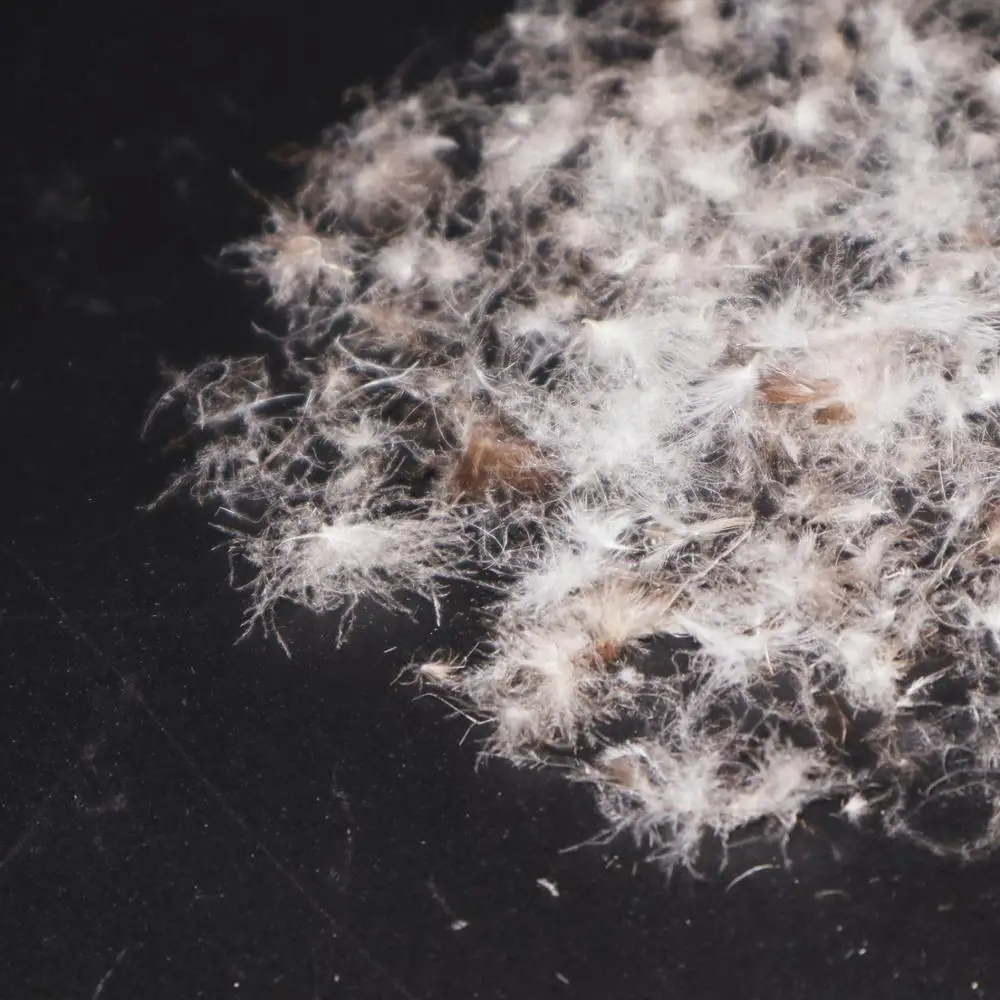 Down factory High quality 90/10 duck down for sleeping bag