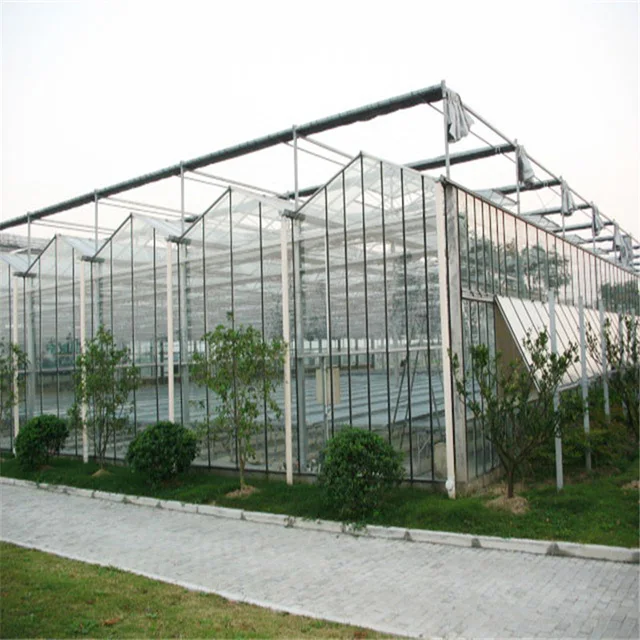 Large Indoor Agriculture Glass Greenhouse with Motor Ventilation for Planting Construction Products SAE Compatible