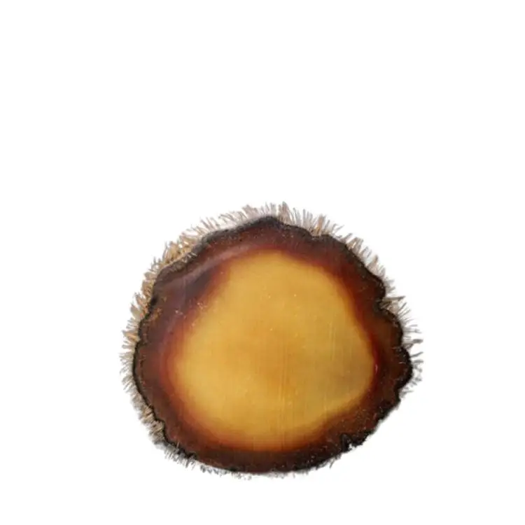 Прямо с оленеводческой фермы экстракт необработанных животных премиум-класса оптовая продажа вельветовые рога оленя и слоеные ломтик