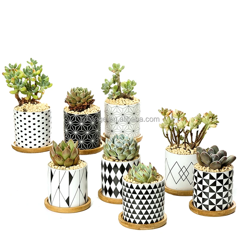 Succulent pot wholesale Cute Panda Group  White porcelain cartoon animal flower pot / ceramic glazed flower pot