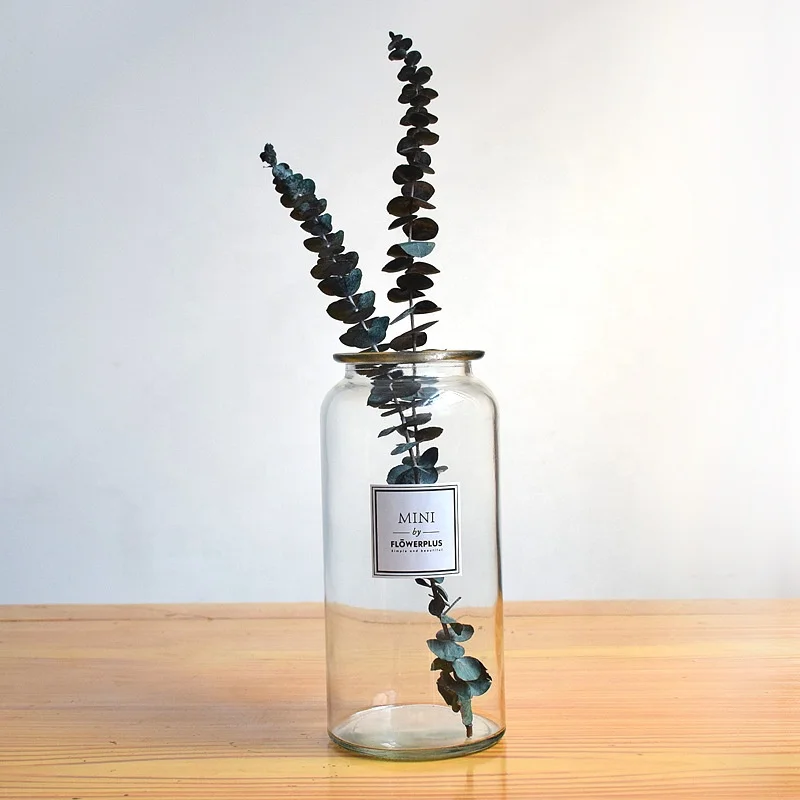 Decorative Colored Clear Glass Flower Vase Houseware Elegant Cylinder Glass Vase