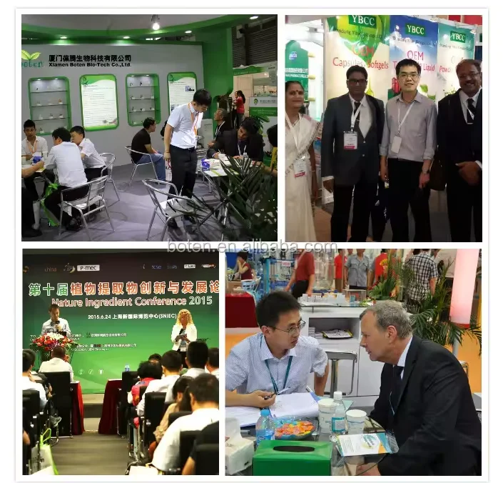 Factory supply natural Kava Root Extract Powder Kavalactones 10%-30%