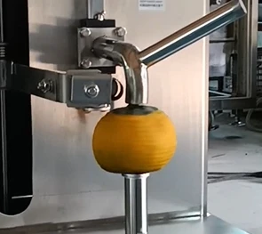 Melon Peeling Machine winter Gourd Peeling machine  Watermelon Peeler
