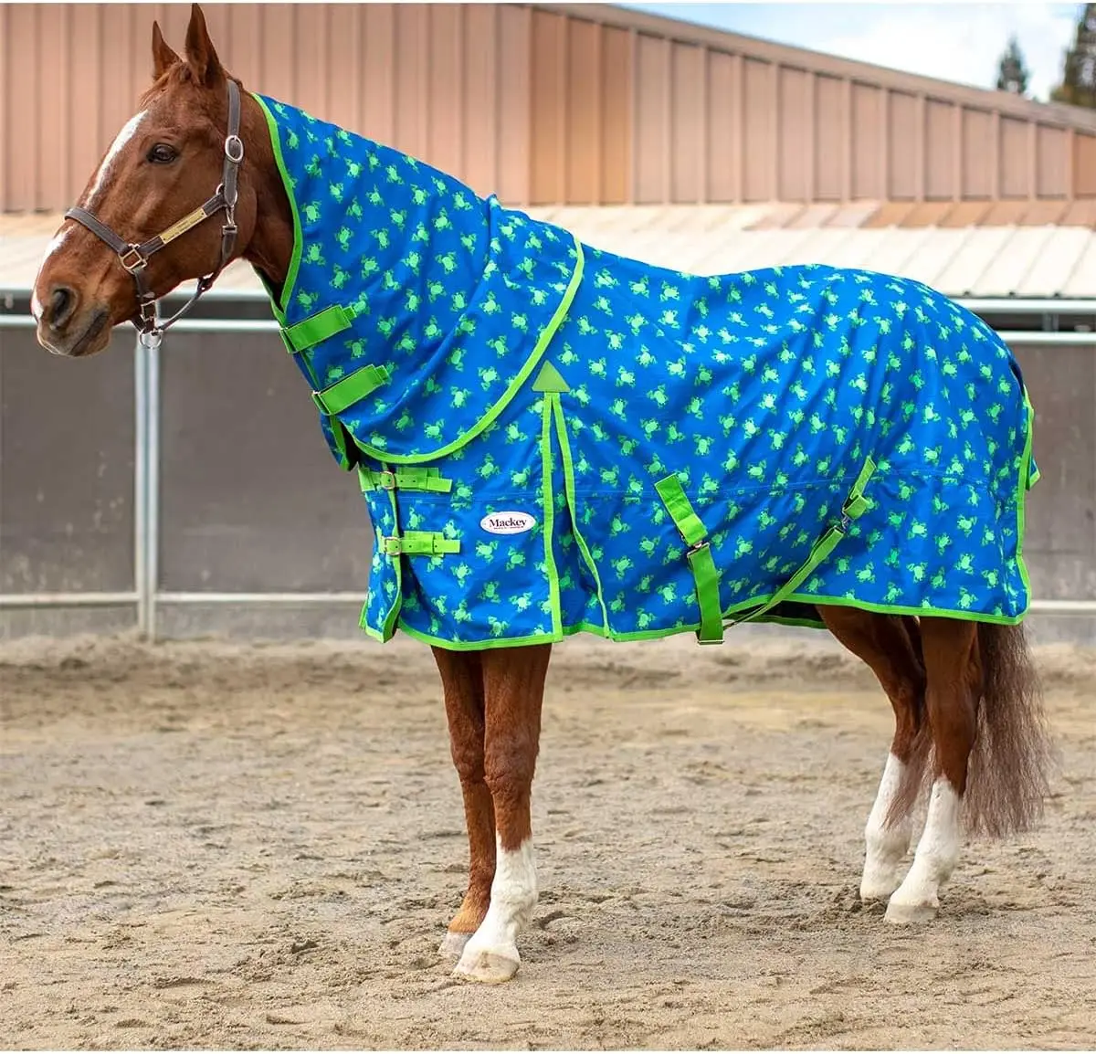 summer horse rug and horse blanket