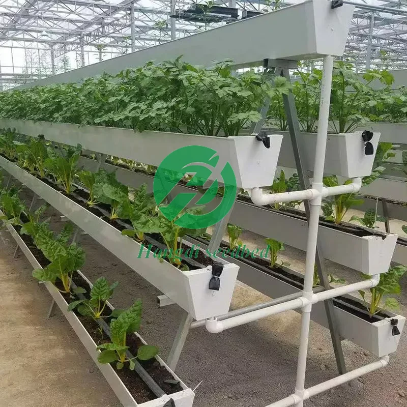 Лоток для выращивания клубники верстак семян теплицы недорогая пластиковая теплица