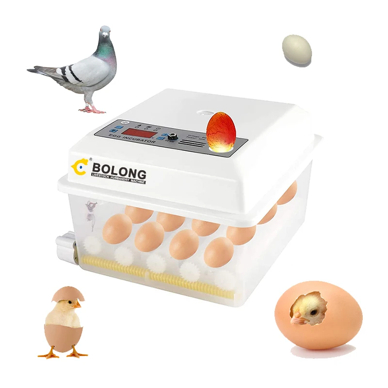cheap small incubadoras de huevos pigeon egg incubator home use