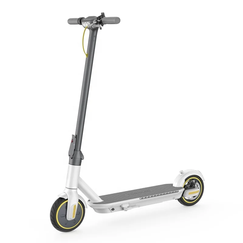 Tomoloo L1 Pro fast folding motor 8.5 inch 250 w kick e scooter cheap price china wholesale sharing electric scooter for adult