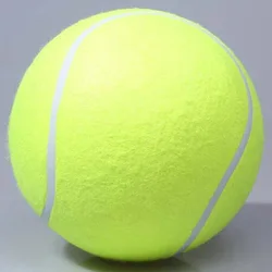 9.5 inch 24cm inflatable customized holiday event gifts name printed signature dog jumbo tennis ball