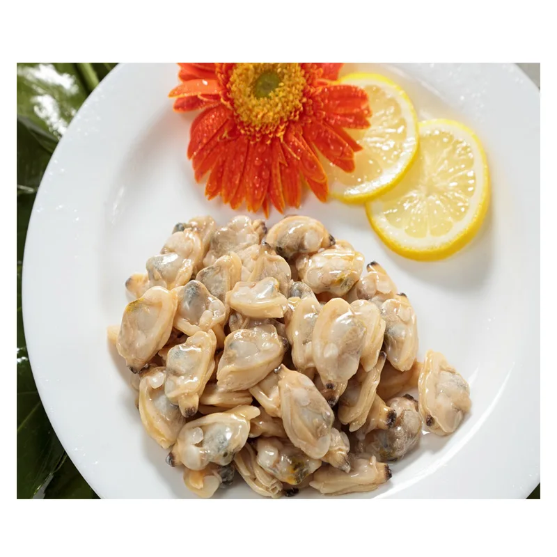 New wholesale good quality seafood buyers favourite chinese seafood clam meat