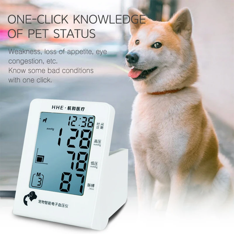 Wholesale Multi-Parameter Vet Medical Veterinary BP Pet Sphygmomanometer