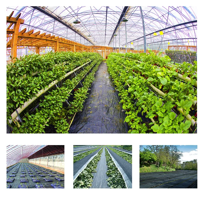 HENGLV Factory Wholesale Supply Compostable And Degradable Plastic Agricultural Film PLA PBAT Mulch