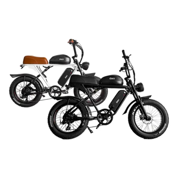 48v 750w 1000w Dual Lithium Battery Ebike Electric Mountain Fat Tire Enduro Bike Bicycle Bike