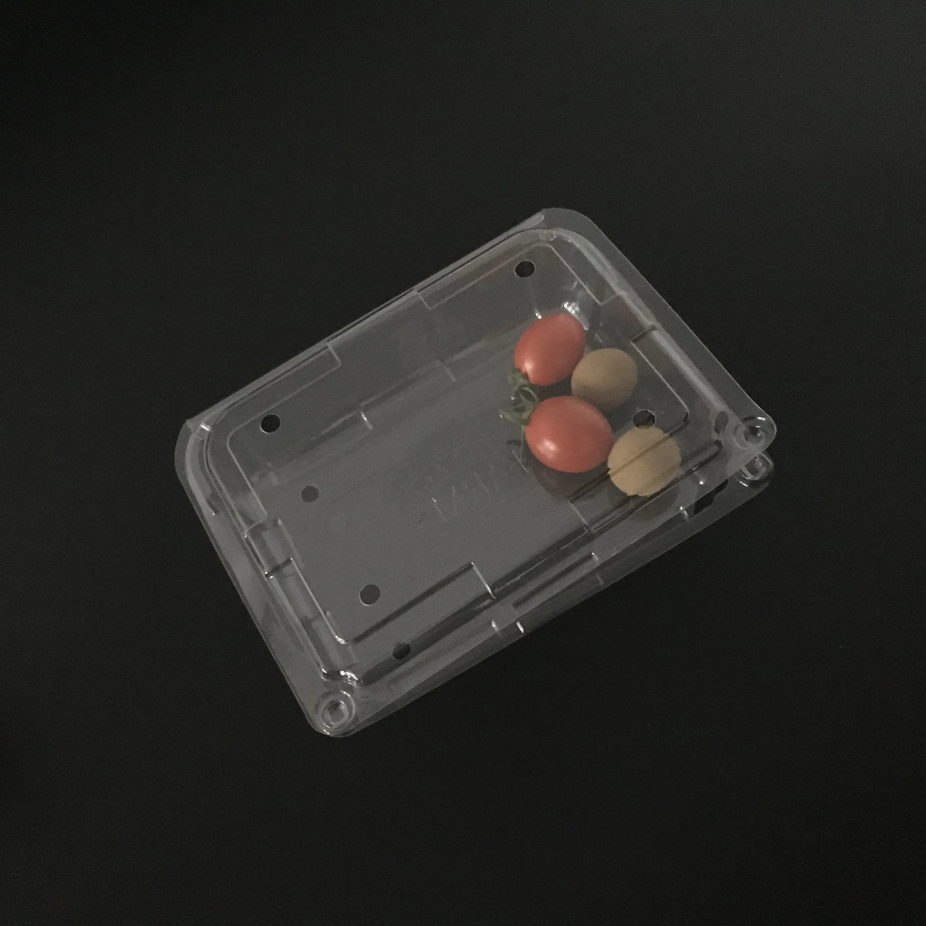 Disposable Plastic Food Fruit Box Packaging Plastic  Transparent Boxes