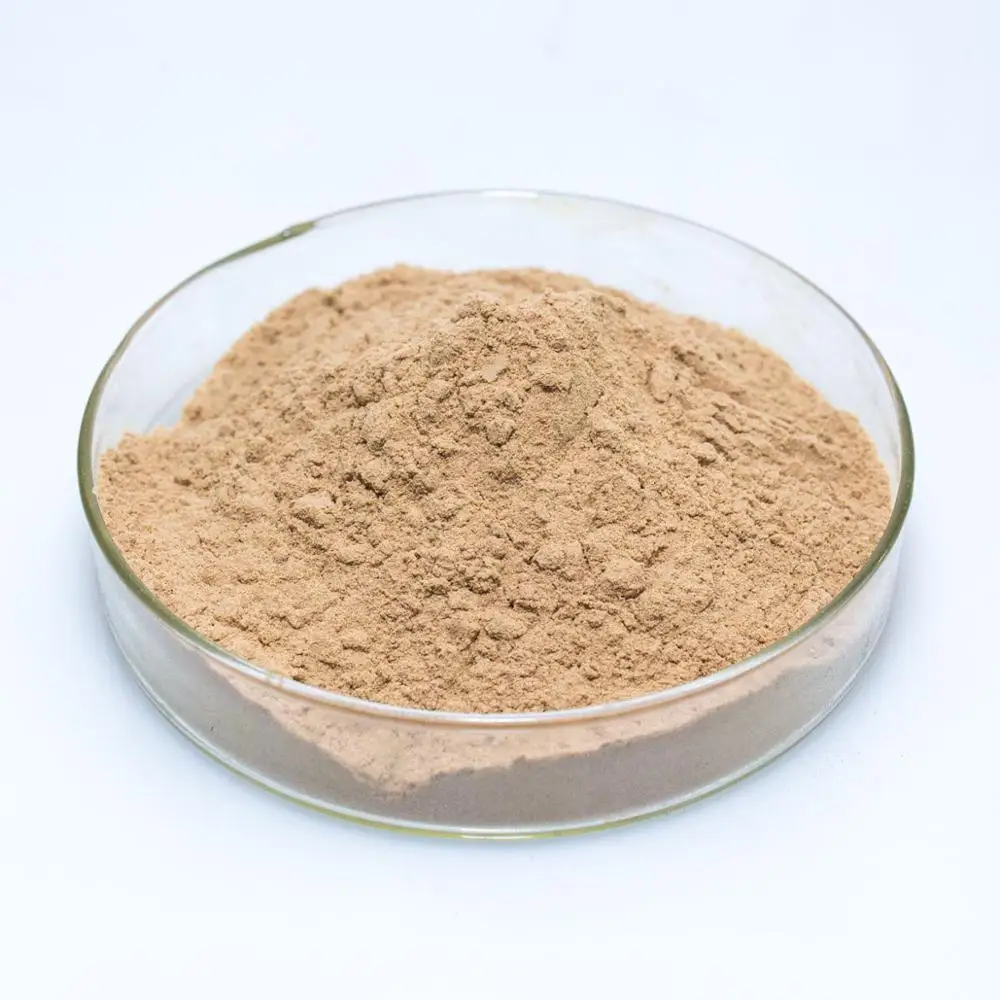 feed grade bacillus subtilis fiyat /water purification bacillus subtilis /bacillus subtilis spores