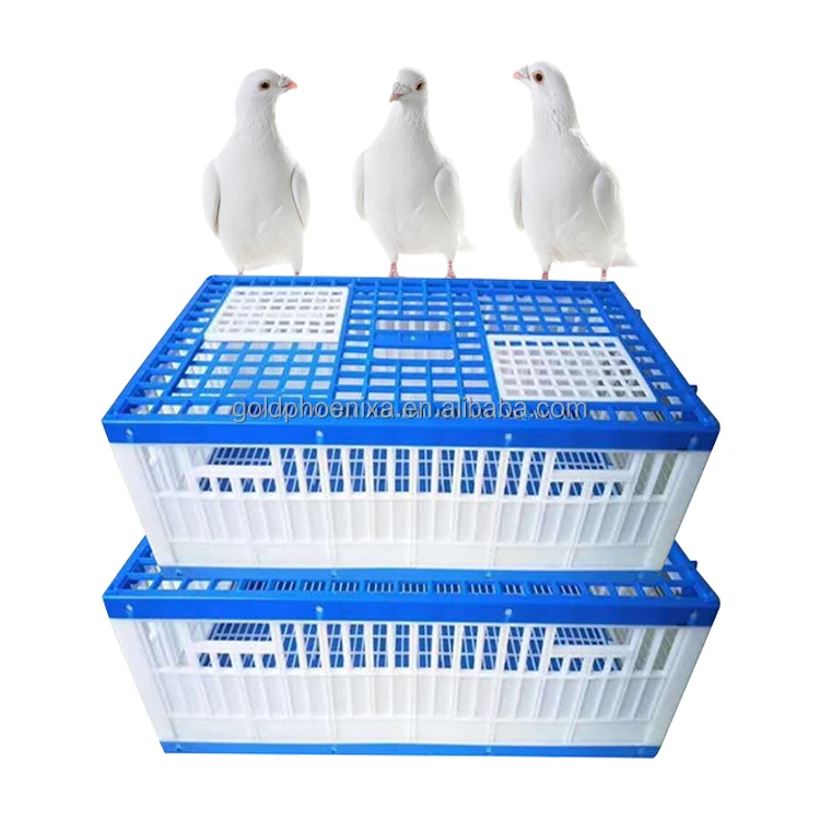 yyc Plastic Three Doors Bird Transportation Cage Poultry Racing Pigeon Cages Training Cage
