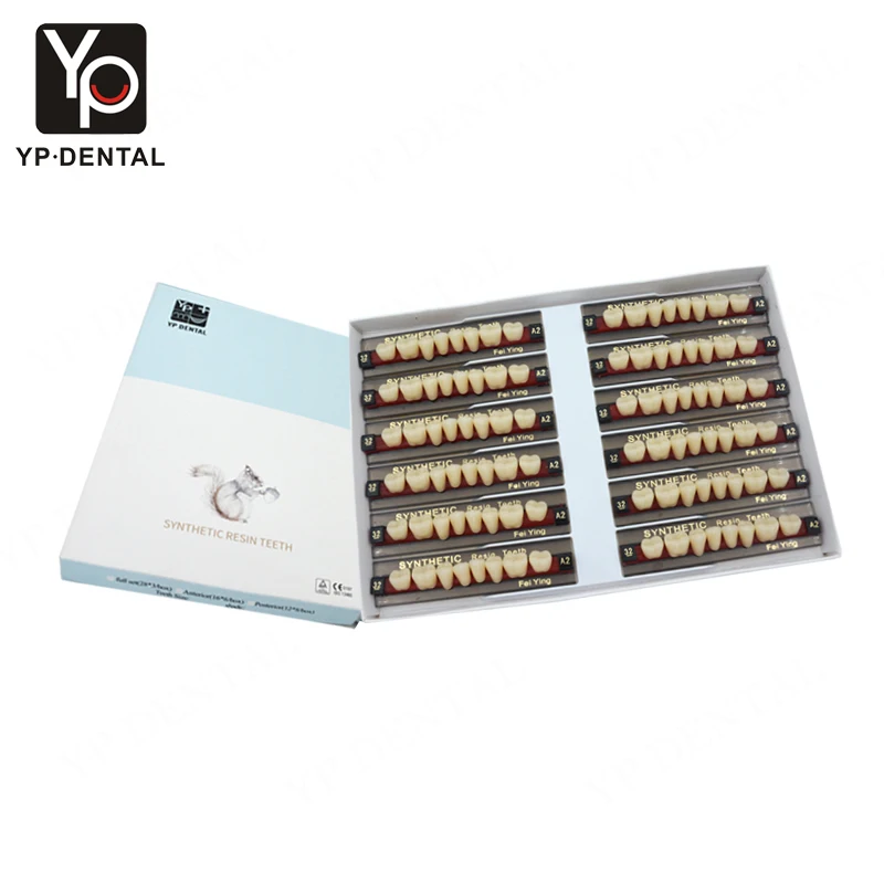 Yingpai, factory price, two layers, acrylic resin teeth, denture