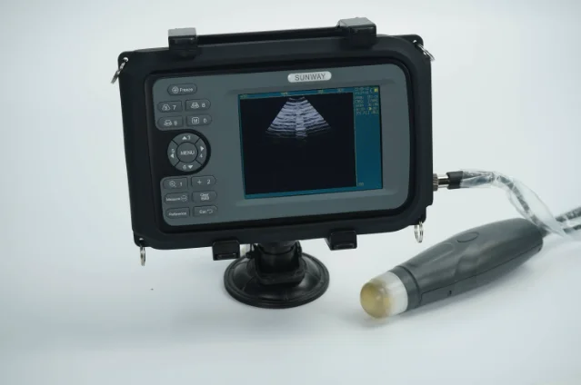 High Quality CRT Portable Veterinary Ultrasound Scanner Laptop Ultrasound Machine for Veterinary