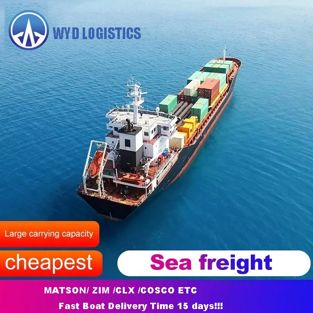 Professional Logistics Service Air Cargo FBA Amazon Shipping Agent Freight Forwarder Shipping Company China To Germany