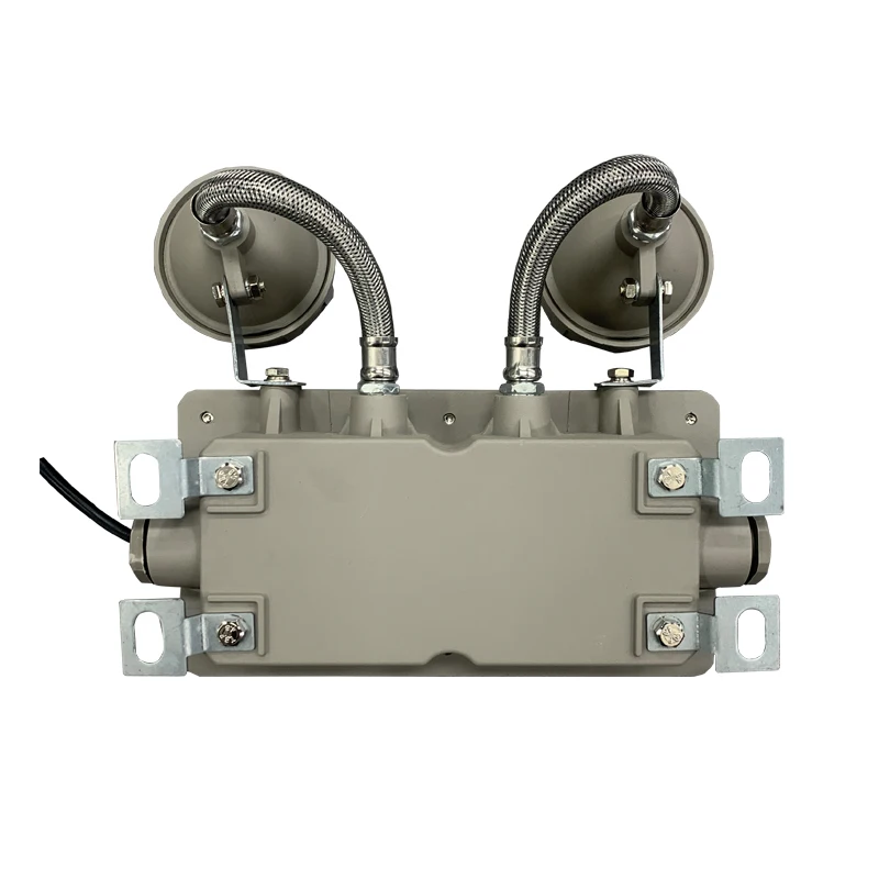 Atex 2X3W Explosion Proof Emergency Light LED Led Lighting Products White Ni-cd DF 80 Cold Rolled Steel Sheet Exit Light Sign