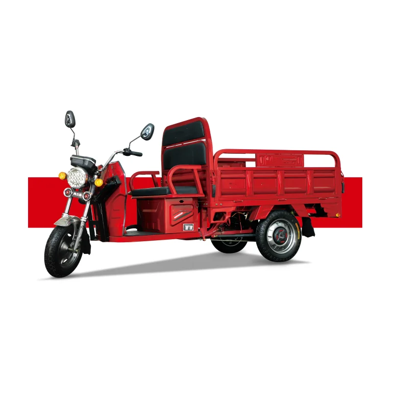 60V1000W Differential Motor With 30KM/H Speed Heavy Loading Capacity Electric Delivery Three Wheeler Trike