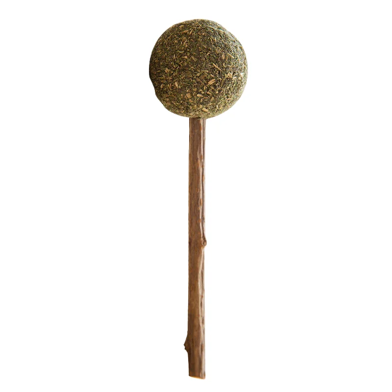 Jiefan Polygonum grass snacks Pet toy nip ball lollipop fun stick teeth grinding and cleaning products