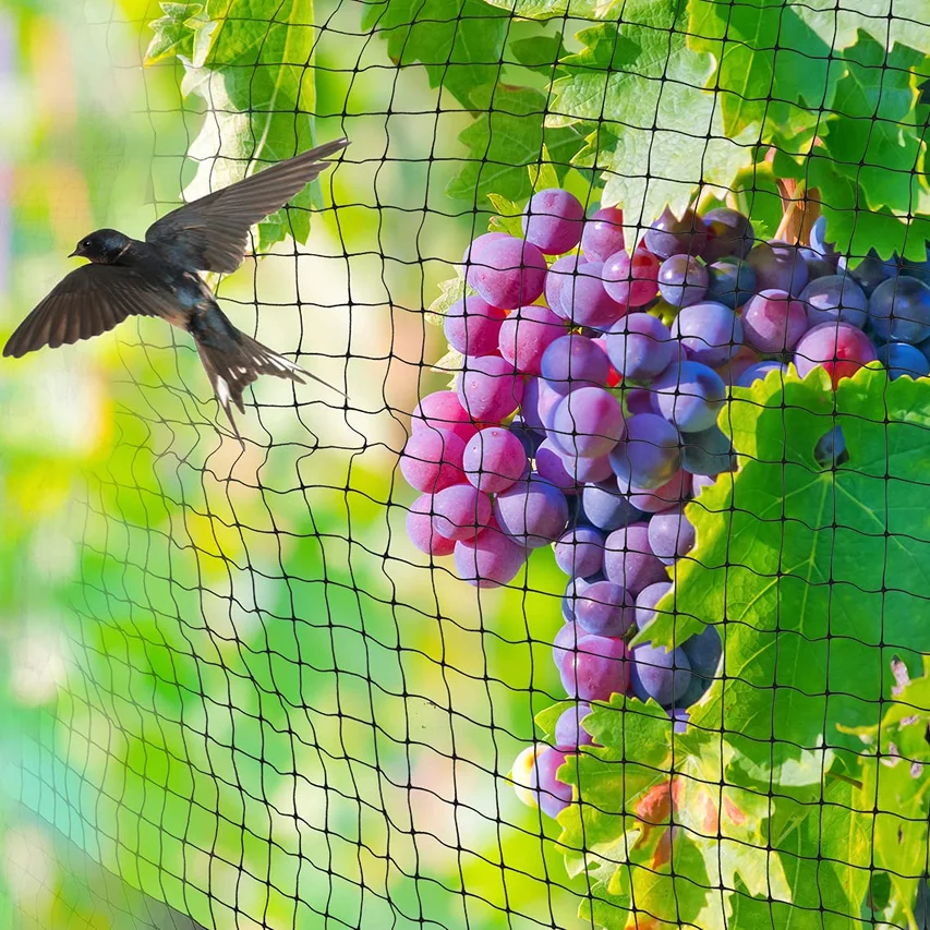 Heavy Duty Plastic Anti Bird Cage Garden Pond Production Netting Plant Mesh Fruit Trees Netting Vineyard Vegetables Flowers